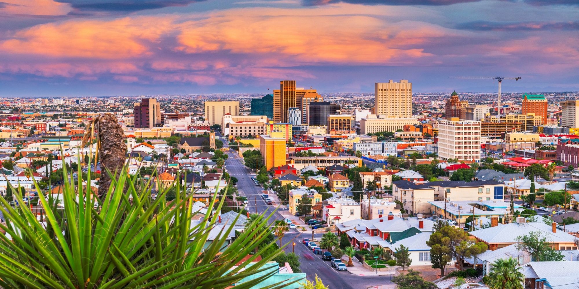 El Paso Local Spotlight.