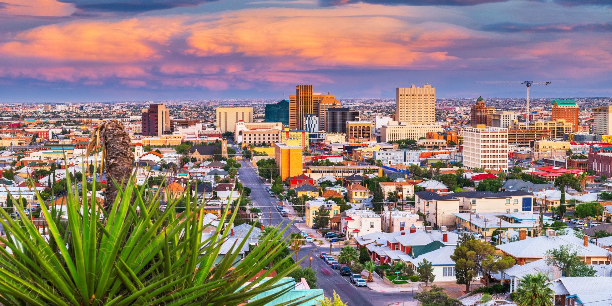 El Paso Local Spotlight.
